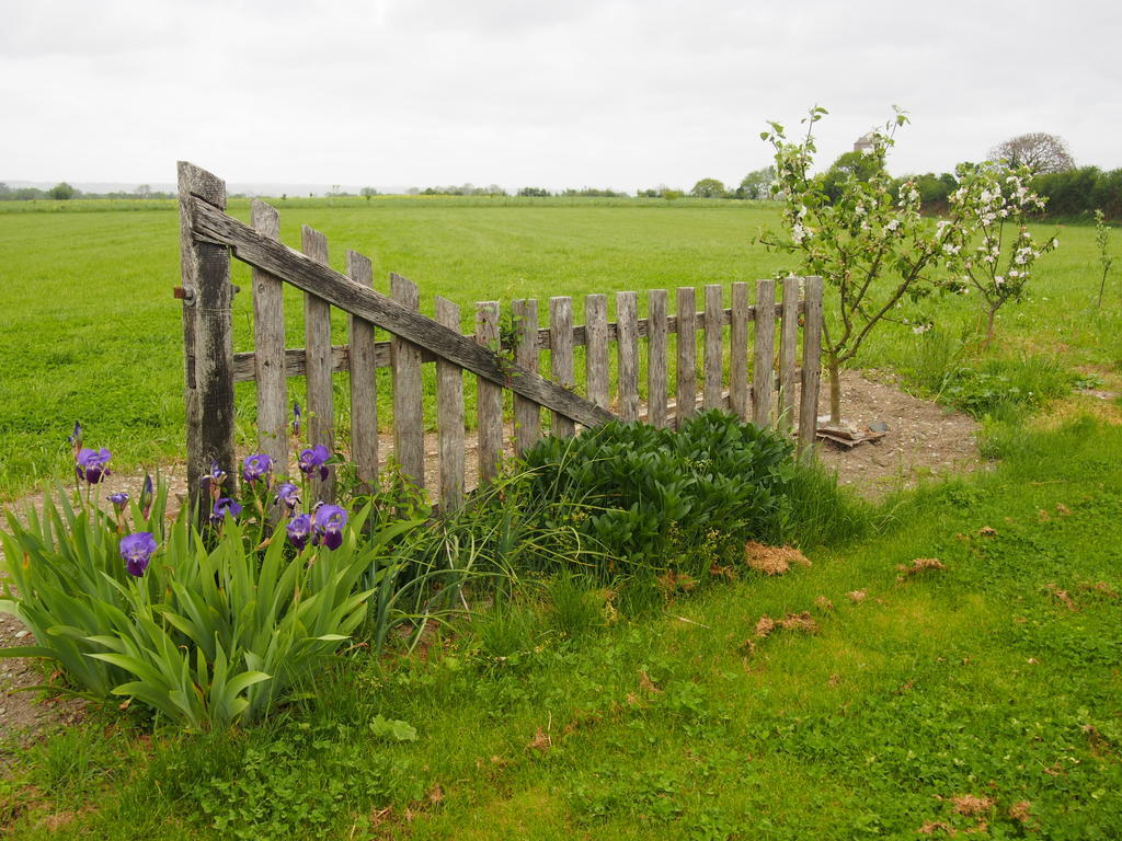 Maison Tombelaine Vains Eksteriør billede
